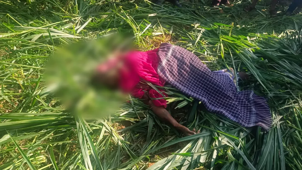 ಆನೆ ದಾಳಿಗೆ ಮಹಿಳೆ ಸಾವು